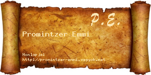 Promintzer Emmi névjegykártya